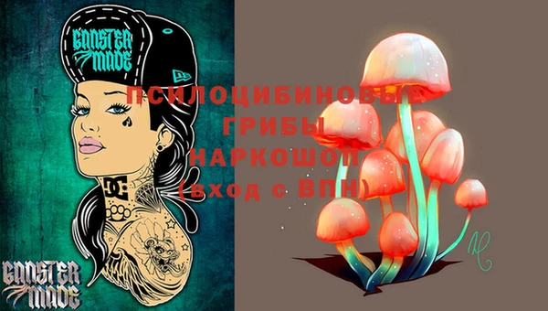 хмурый Заводоуковск