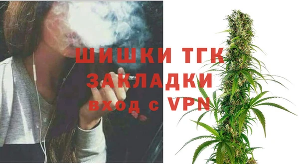 хмурый Заводоуковск