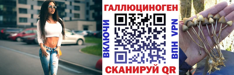 Псилоцибиновые грибы Psilocybe  ссылка на мегу как зайти  Мамадыш  купить закладку 